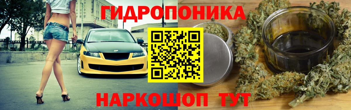 Лесной  Гашиш  Каннабис  Героин  Вход с VPN  Конопля  Кокаин  Меф МЯУ МЯУ  